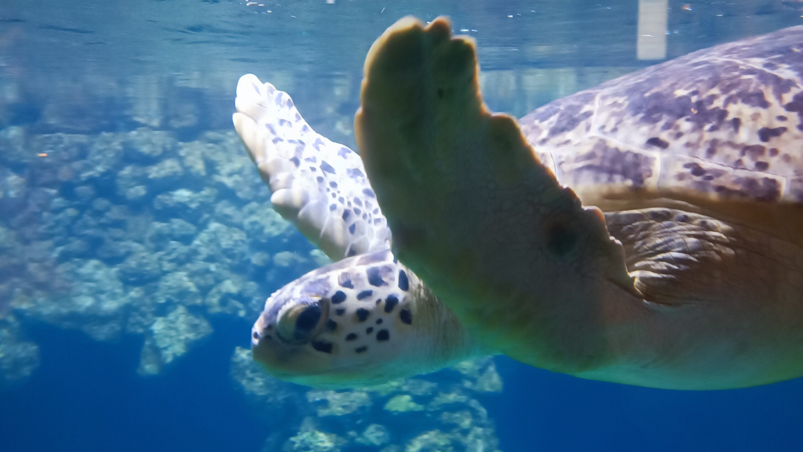 Nacht der Innovationen