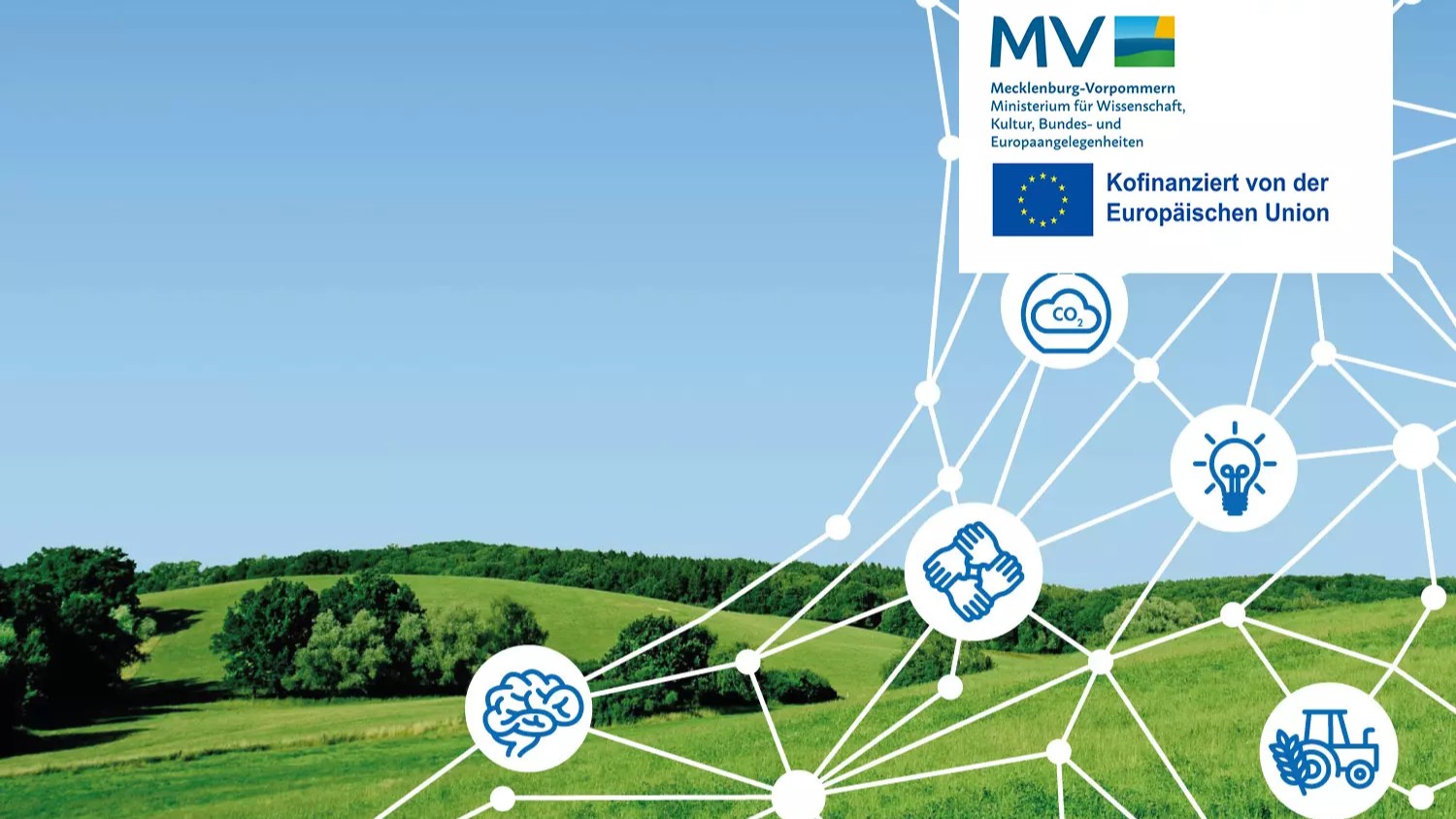 Geschichte der Excellenzforschung in MV